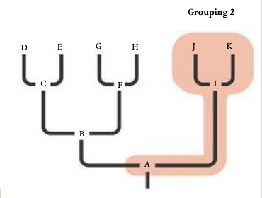 <p>A grouping that consists of an ancestral species and some, but not all of the descendants</p>