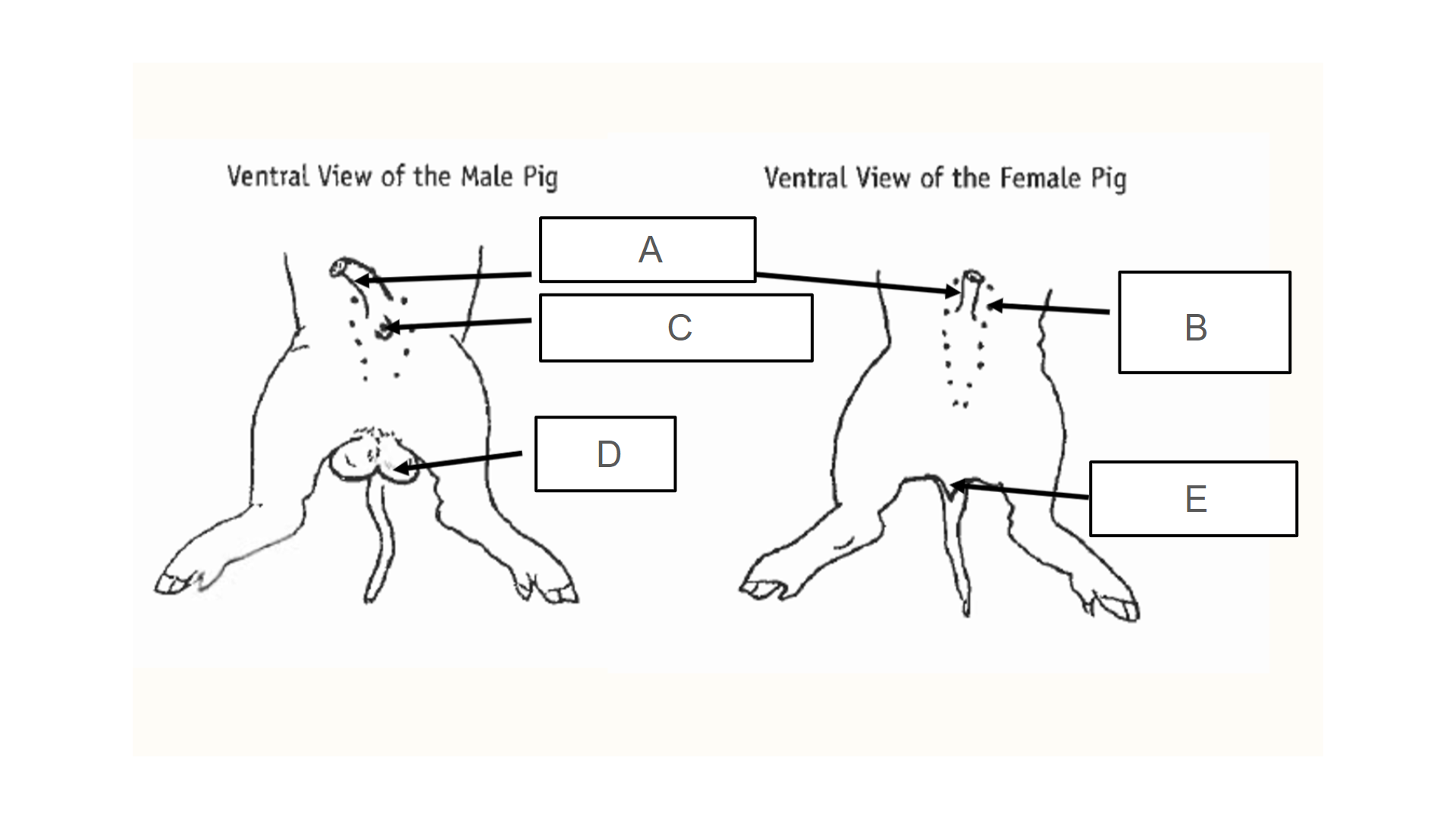 <p>What is E?</p>