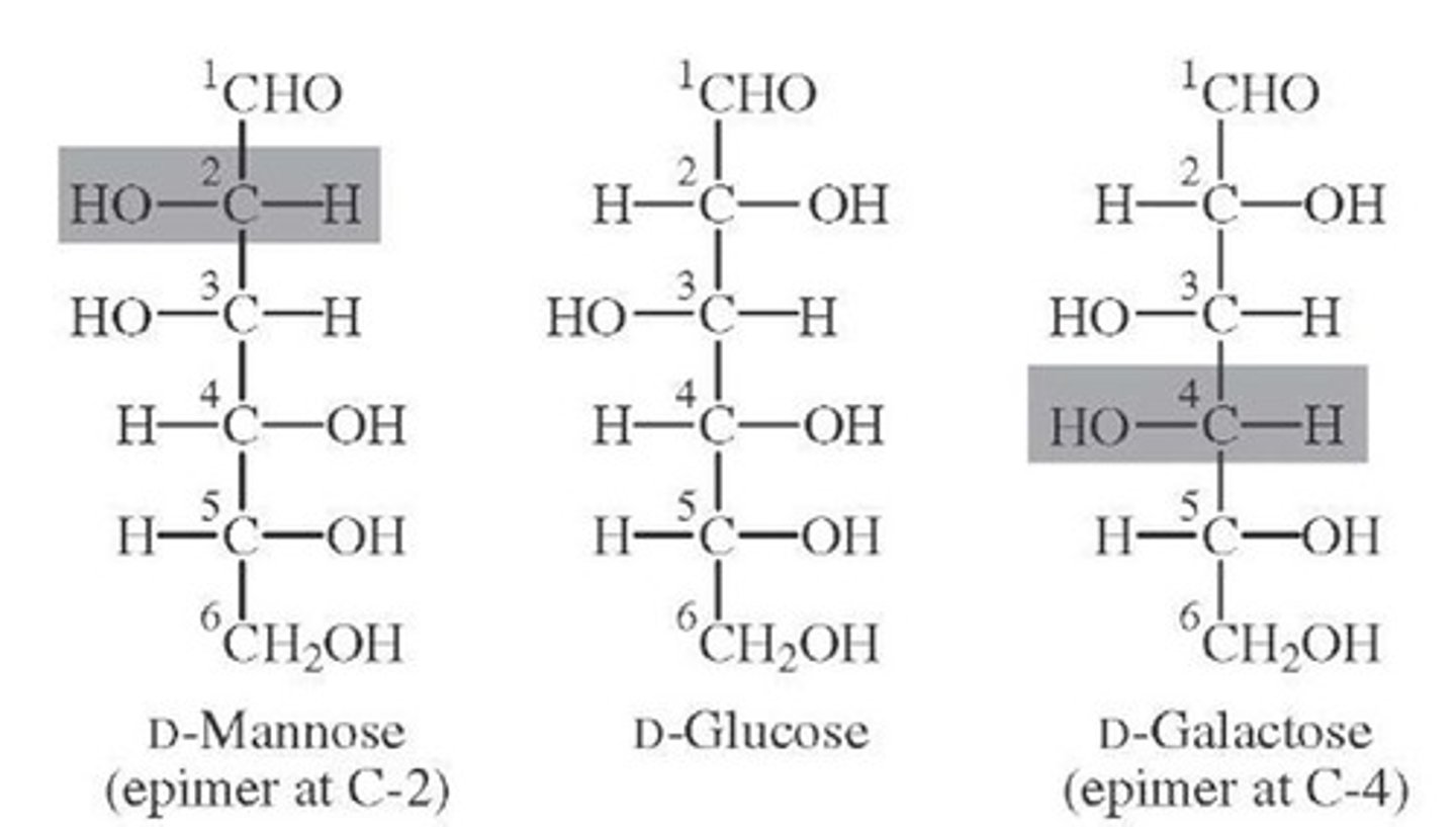 <p>(B) epimers</p><p>These two compounds are considered epimers because they have the opposite stereochemistry designation (R/S) at a single stereocenter.</p>