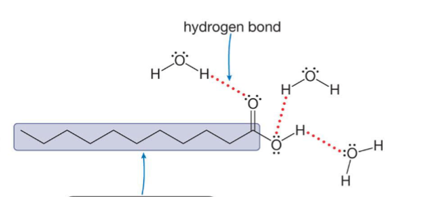 <p>Are <strong>long</strong> chain acids soluble or not soluble in water?</p>