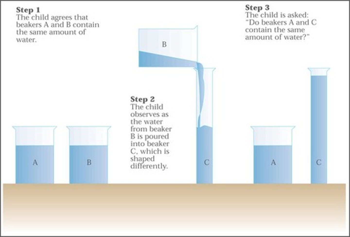 <p>Understanding that quantity remains the same despite changes in shape or arrangement.</p>