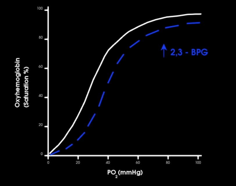 <p>when 2,3 BPG bind to hb what happens to affinity for o2 </p>