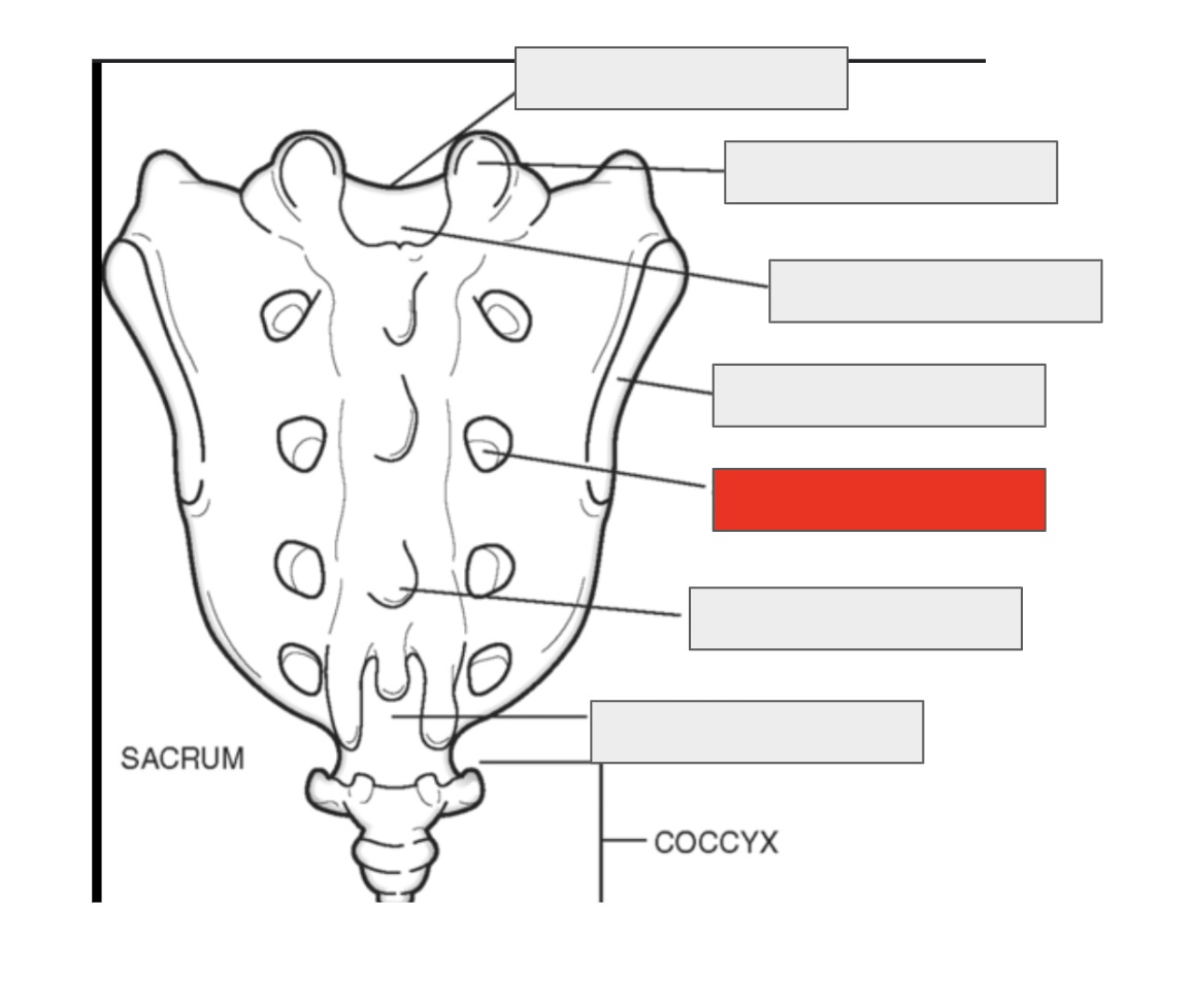 <p>Name the covered landmark</p>
