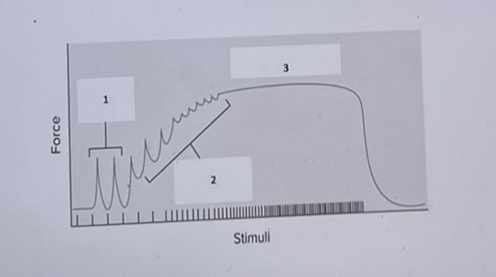 In the image below, what is indicated by #2? 