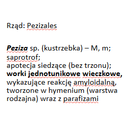 <p>Peziza sp. (8 zarodników)</p><p>Gr.: ASCOMYCOTA – grzyby workowe</p><p>     Podgr.: PEZIZOMYCOTINA </p>