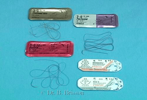 <p>sterile thread used to stitch closed a wound or surgical opening; stitches</p>