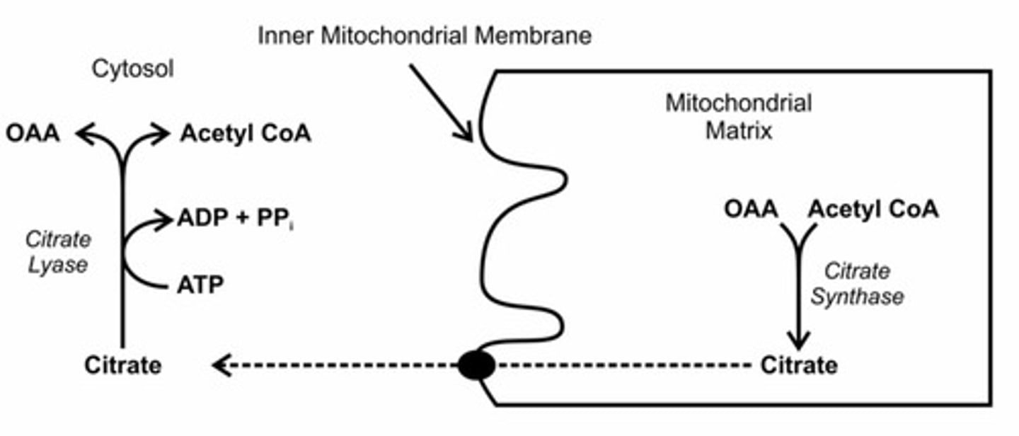 <p>It is absolutely necessary to be able to do this for the MCAT. And because it is so challenging to memorize all of this point blank, we've created our Metabolic Pathways Mastery Course: https://mcatselfprep.com/course/andrews-metabolic-pathways-mastery-course/</p>