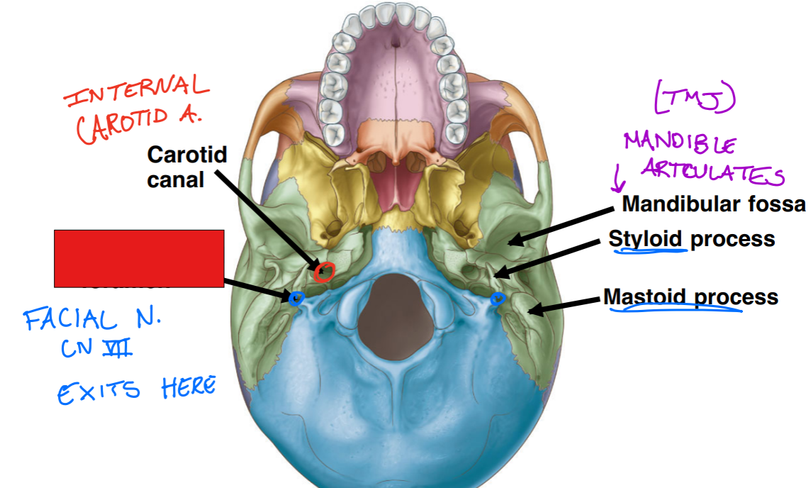 <p>Fill in the red box:</p>