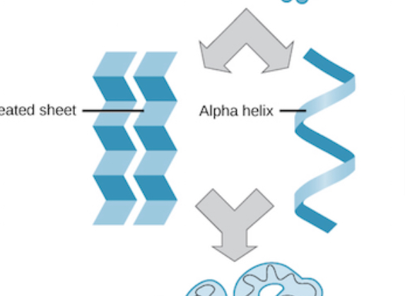 <p>Which level of structure </p>