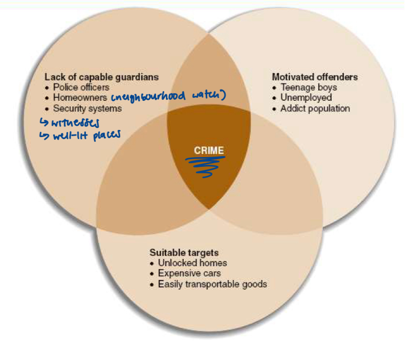 <p>routine activities theory </p>