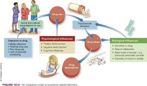 <ul><li><p><span style="background-color: transparent;"><span>Multiple influences interact to account for substance use disorders</span></span></p></li></ul><ul><li><p><span style="background-color: transparent;"><span>These all some together to have this biopsychosocial model</span></span></p><ul><li><p><span style="background-color: transparent;"><span>Where cultural and social expectations interact with our own sensitivity and reward learning &amp; then our own ways of coping or reinforcement at the psychological level</span></span></p></li></ul></li></ul><p><br><span style="background-color: transparent;"><strong><span>Equifinality</span></strong><span> refers to the fact that a disorder may arise from multiple and different paths, and seems particularly relevant to substance-related problems. Repeated drug use may lead to biological and cognitive reactions that contribute to dependence.</span></span></p>
