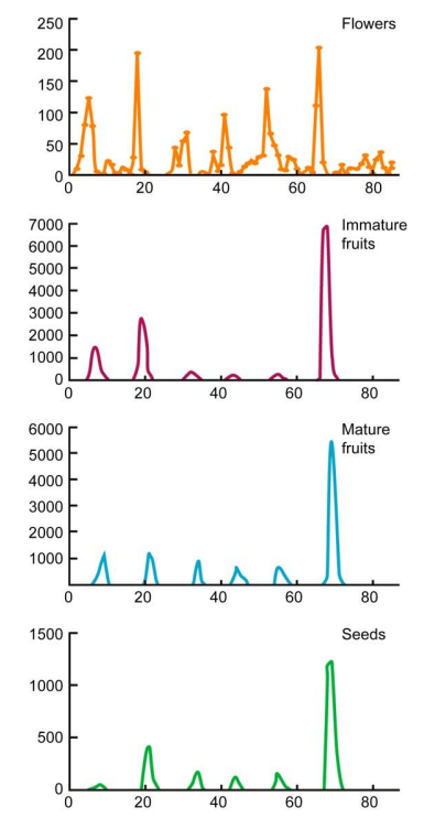 <p>Give an example of how plant phenology can be affected by rainfall or photoperiod:</p><p><br>Describe diapause</p>