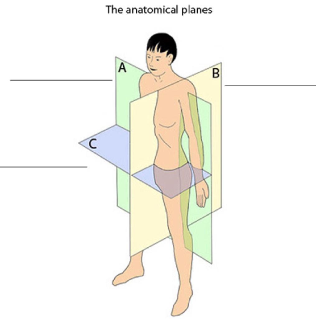 <p>Plane C is showing</p>
