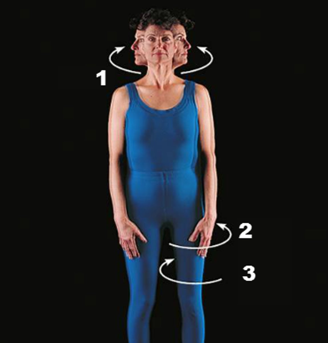 <p>Movement of a bone around its longitudinal axis within a joint, without lateral displacement.</p>