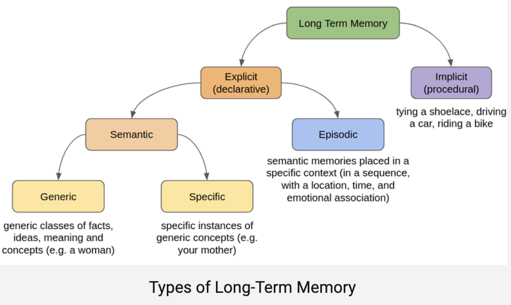 <p>the brain's vast, relatively permanent storage system for information, experiences, and skills, holding data for extended periods (days, years, or indefinitely)</p>