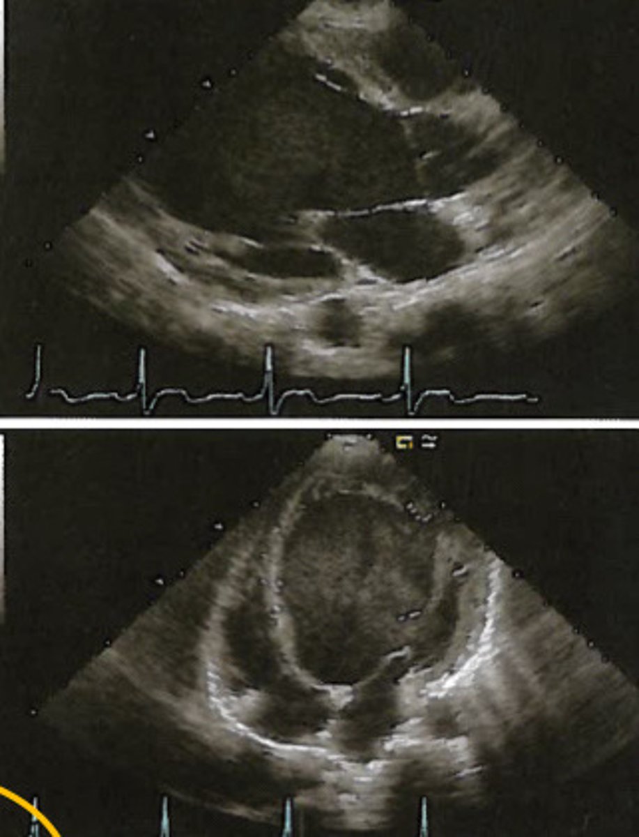 <p>Describe what these images represent</p>