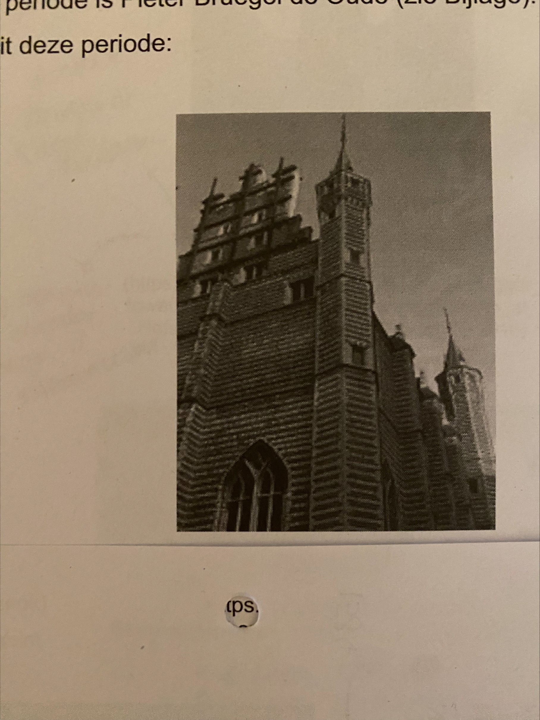 term image
