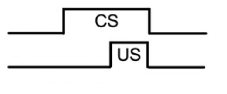 <p>Temporal arrangement where the CS precedes the US briefly</p>