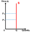 Vertical Supply Curve