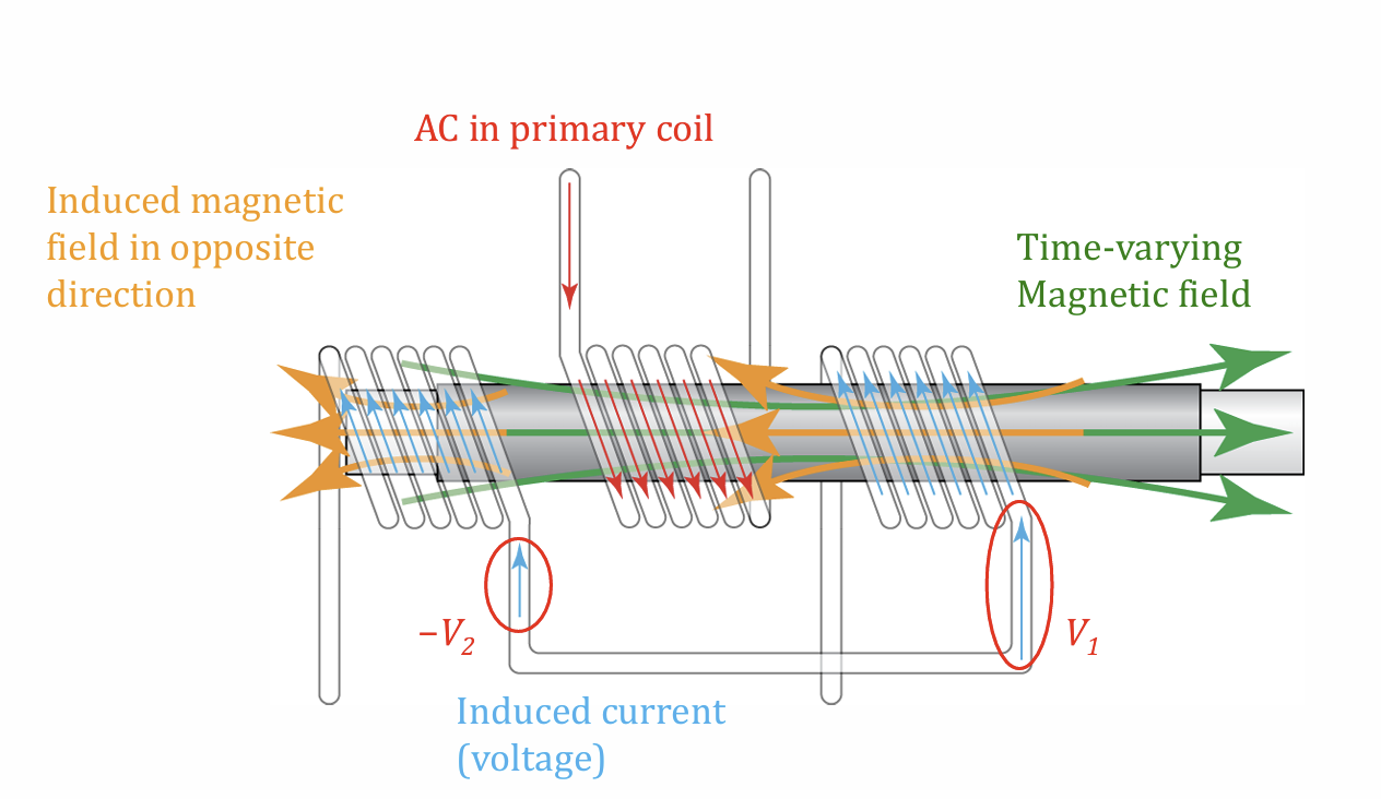 <p>Initial:</p><ul><li><p>AC in primary coil produces time-varying magnetic field</p></li><li><p>magnetic flux produces voltages on both secondary coil in opposite directions → voltage cancels out</p></li></ul><p></p><p>Ferromagnetic core moves:</p><ul><li><p>voltage magnitude becomes greater for one secondary coil, and smaller for the other</p></li><li><p>create difference in voltage</p></li></ul><p></p>