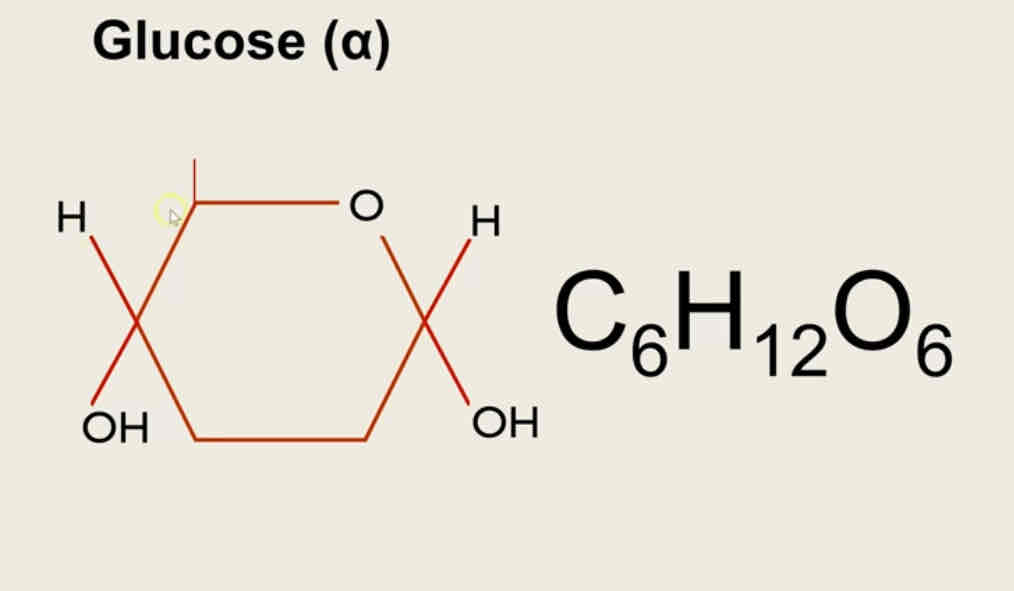 <p>Definition of isomer</p>