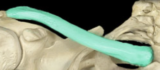 <p>Label</p>