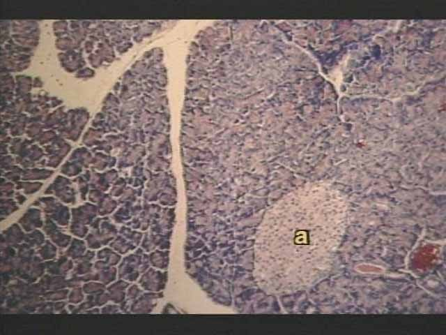 <p>What is this?</p>