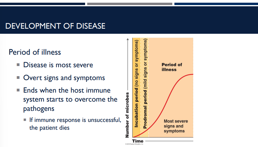 <p>Describe the period of illness in the development of disease.</p>