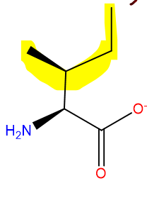 <p>NonPolar</p>