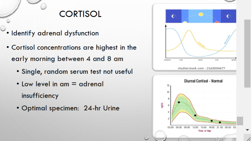 <p>can go up and down throughout the day</p><p>if its decrease between 4-8 there’s probably an adrenal insufficiency</p>
