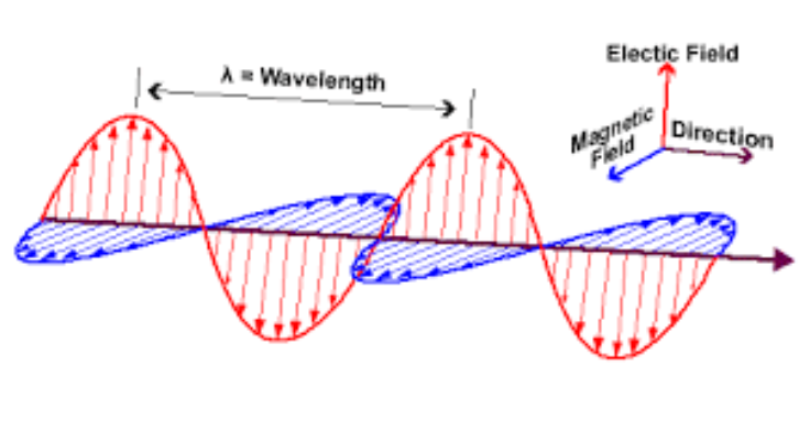 <p><span>Which type of wave is shown in the above picture?</span></p>