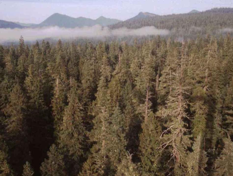 <p>What biome is this and why?</p>