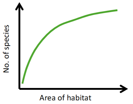 <p>Species Area Curves</p>