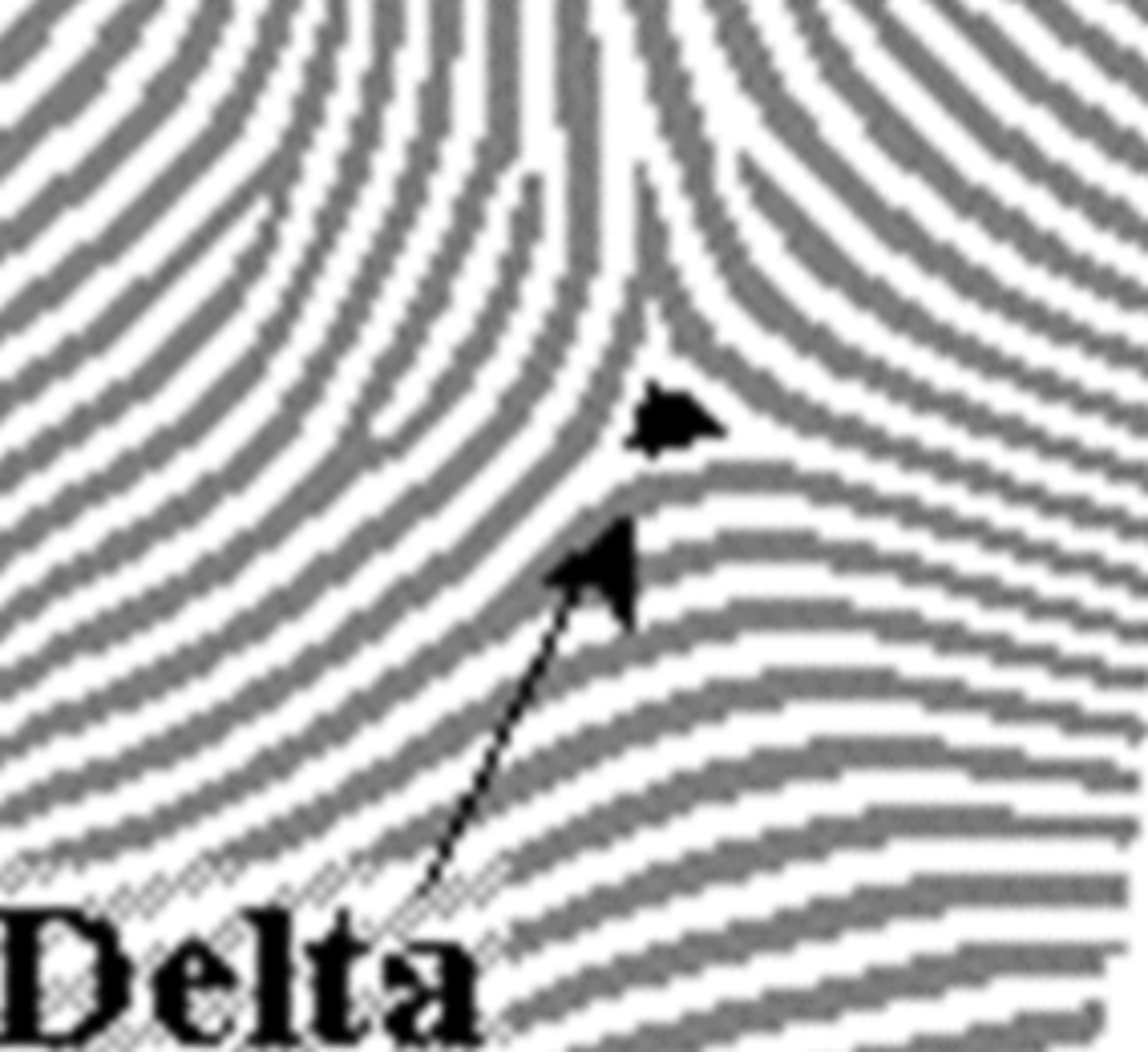 <p>point on a ridge at or nearest to the point of divergence (tri-radius)</p>