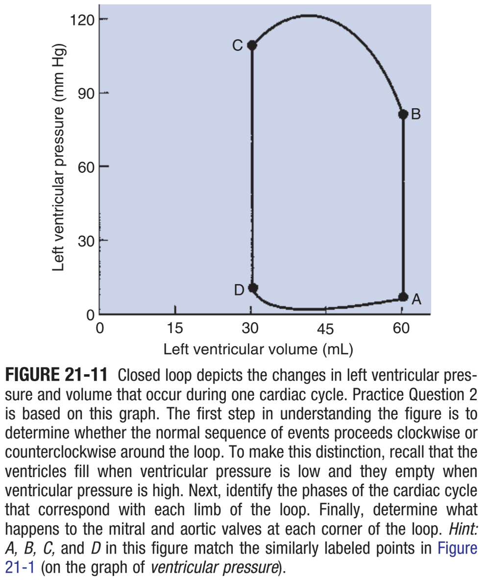 <p>CH 21, Q2: Figure 21-11 shows a plot of the changes in pressure and volume that occur in the left ventricle during one cardiac cycle. Which of the following is true?</p><p>a. point D marks the beginning of isovolumetric relaxation</p><p>b. point B marks the closure of the aortic valve</p><p>c. point C marks the opening of the mitral valve</p><p>d. point A marks the beginning of isovolumetric contraction</p><p>e. point D marks the beginning of ventricular systole</p>