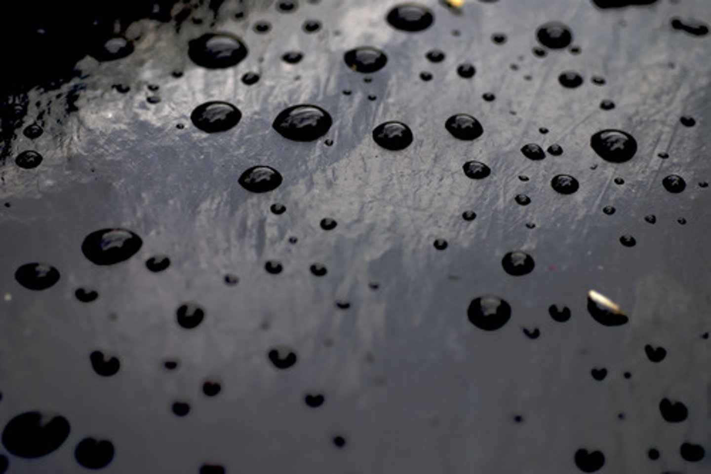 <p>occurring irregularly; occasional</p>