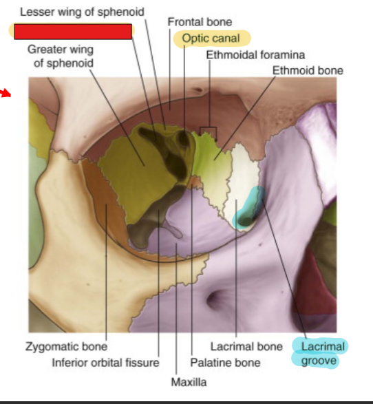 <p>fill in the red box:</p>