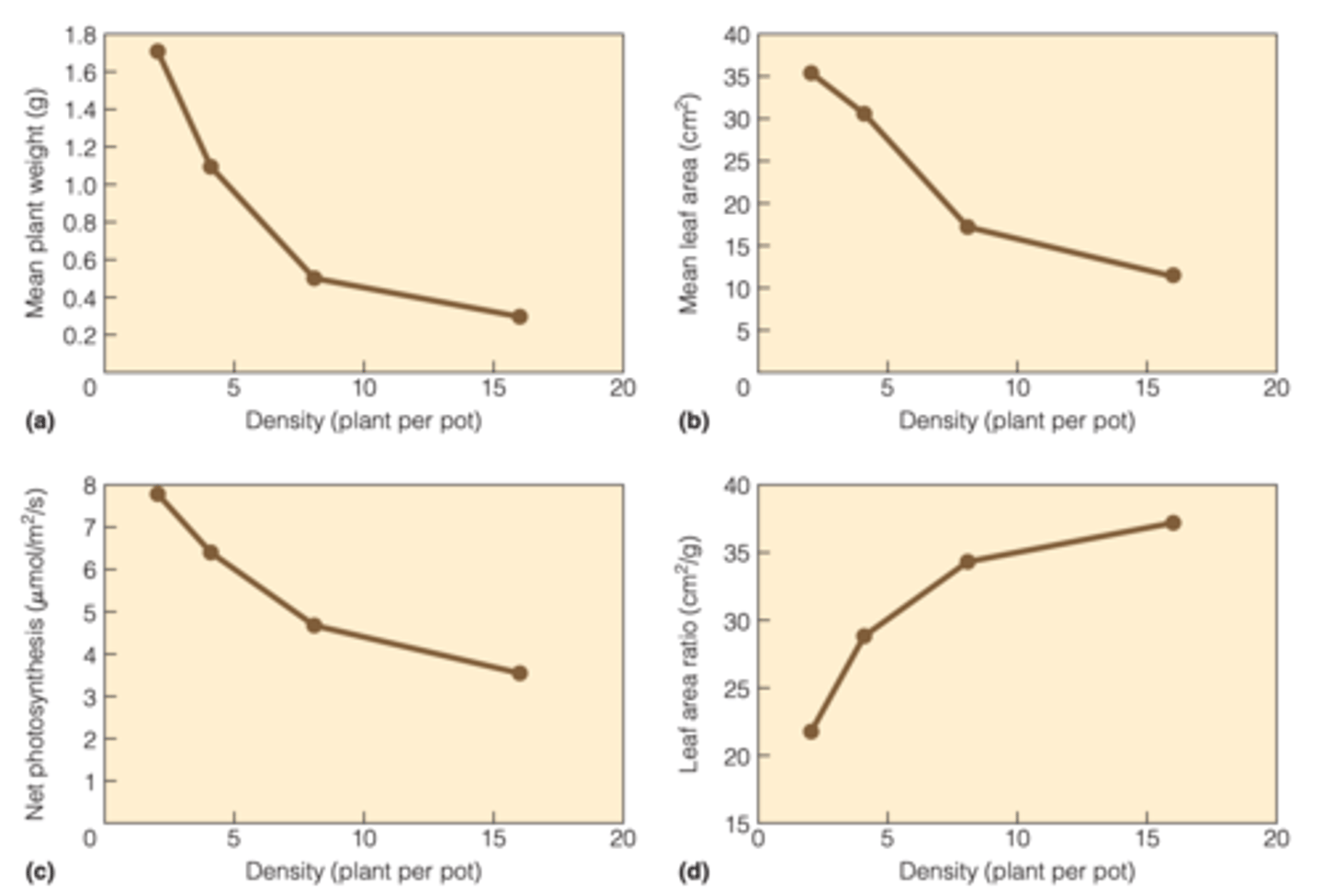 <p>MEAN VALUES OF (BOOK)</p><p>A): plant dry weight (accumulated biomass)</p><p>B): leaf area</p><p>C): net photosynthetic rate</p><p>D): leaf area ratio</p>