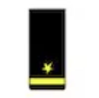 <p>One gold 1/2-inch stripe below a gold five pointed star (O1)</p>