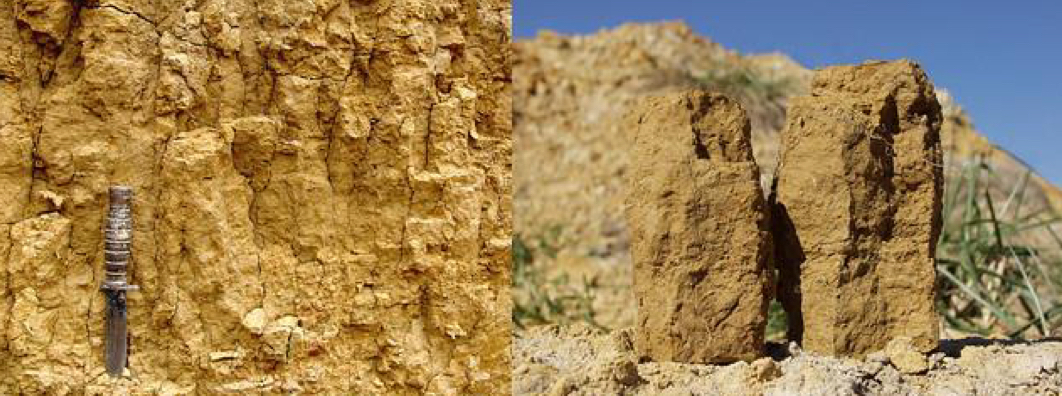 <ul><li><p>Soil structure characterized by 10-100 mm grains usually found in the B horizon</p></li><li><p>Called columnar structure if they have rounded tops</p></li></ul>