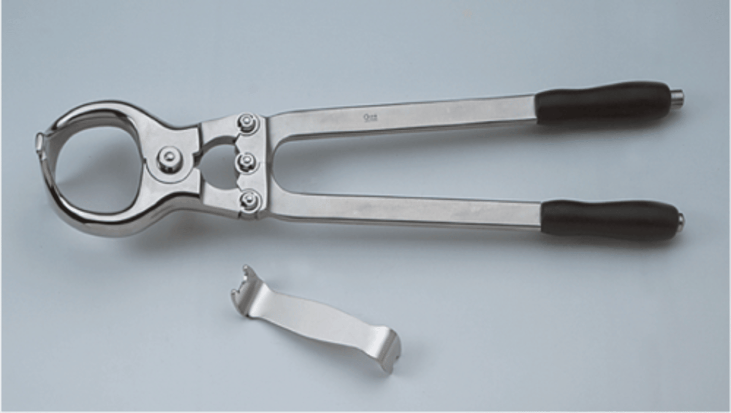 <p>To perform a bloodless castration in a large animal.</p>