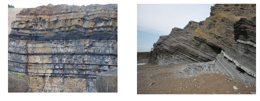 <p><span style="color: rgb(255, 0, 0)">Initially, sedimentary rocks are deposited horizontally before they undergo &nbsp;geologic deformation or tilting</span></p>