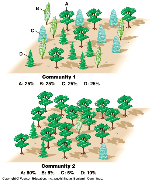 The number of individuals in a species relative to the total number of individuals within an ecosystem.