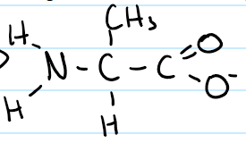 <p>all places where H<sup>+</sup> could be lost are empty</p>