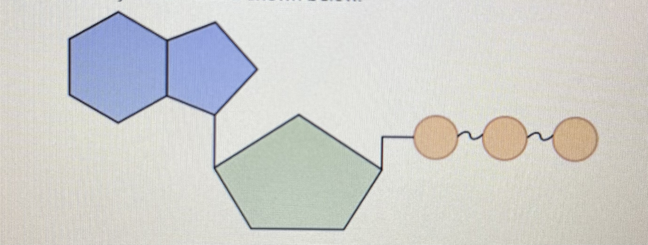 <p>Identify the molecule shown below</p>