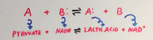 <p>transfer elctrons or H atoms </p><p></p>