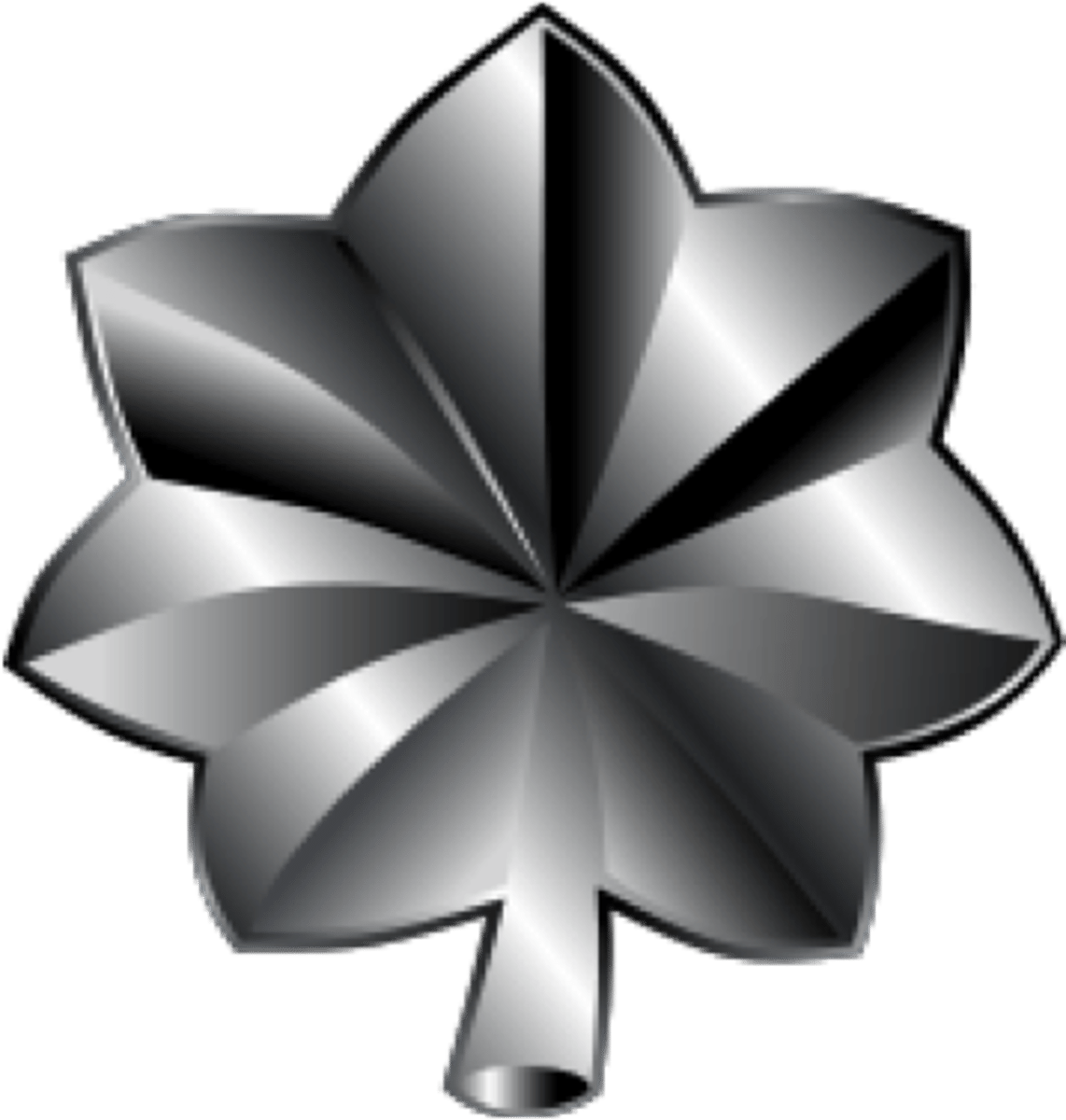 <p>Lieutant Colonel (Lt Col)</p>