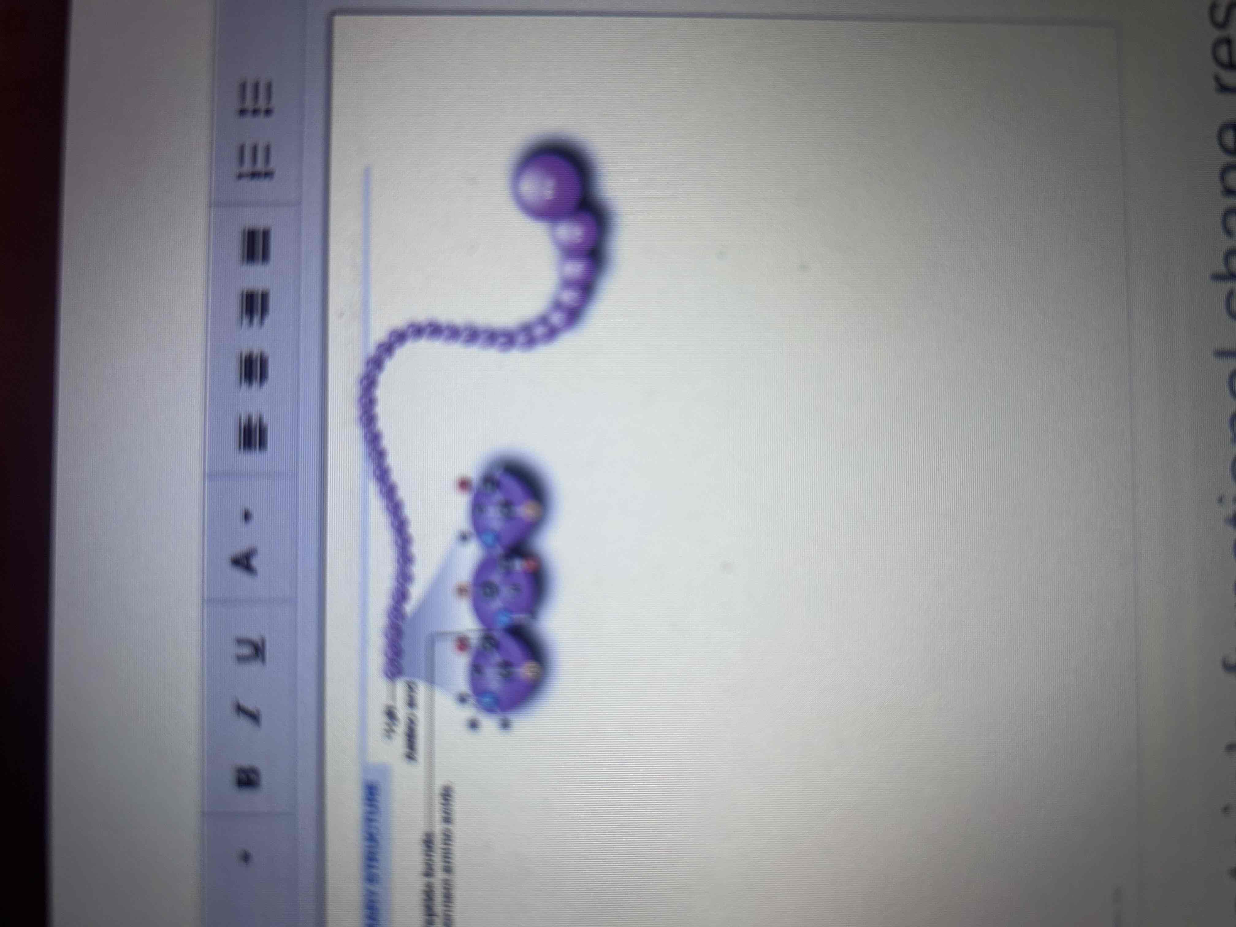 <p>The sequence of amino acids in its polypeptide chain.</p>