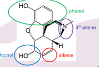 <p>phenol alcohol alkene and 3 amine</p><p></p>
