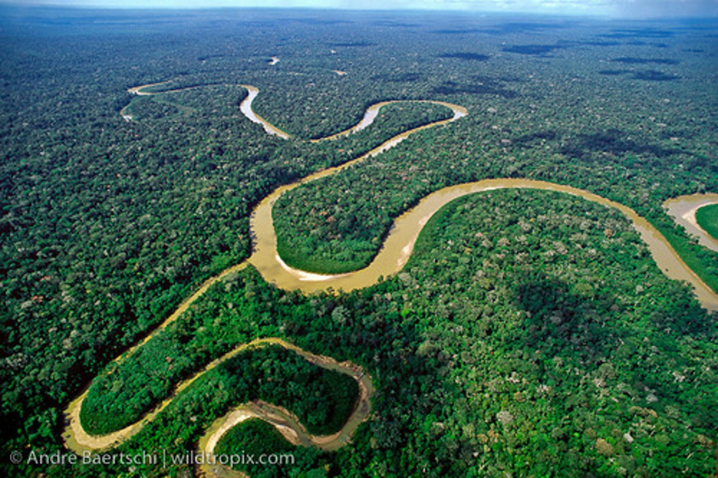 <p>A stream or river that flows into a larger stream or river</p>